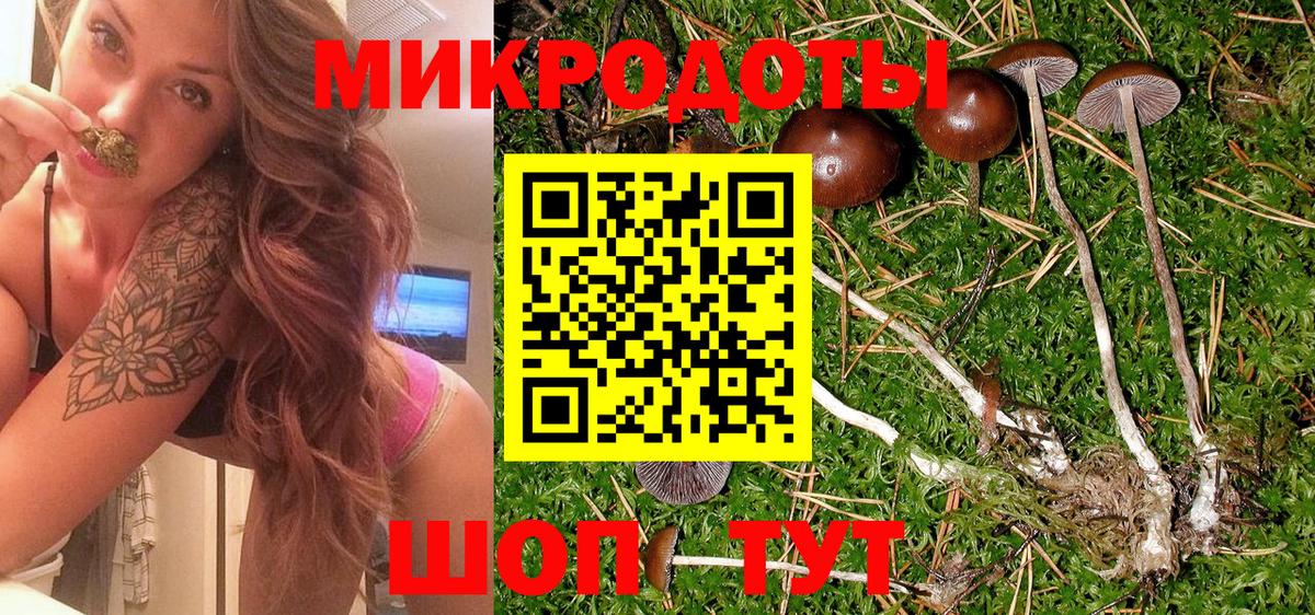 Галлюциногенные грибы ЛСД  закладка  Шатура  Вход с VPN 